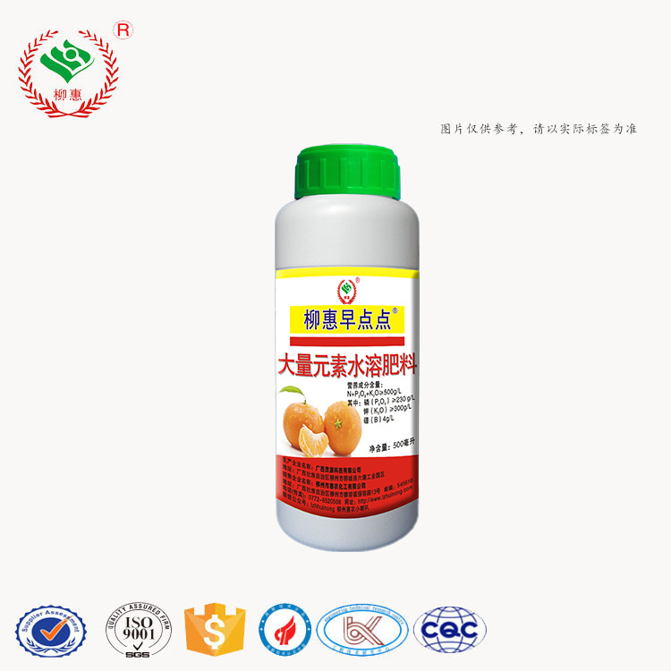 柳惠早点点500